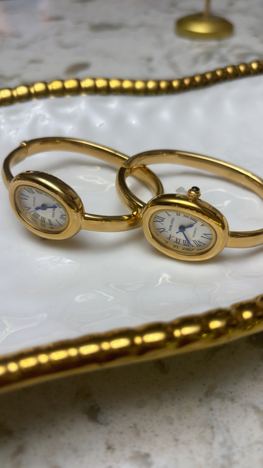Watch bracelet